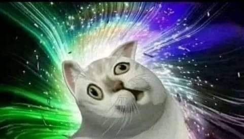 Nằm mơ (2): Trường học